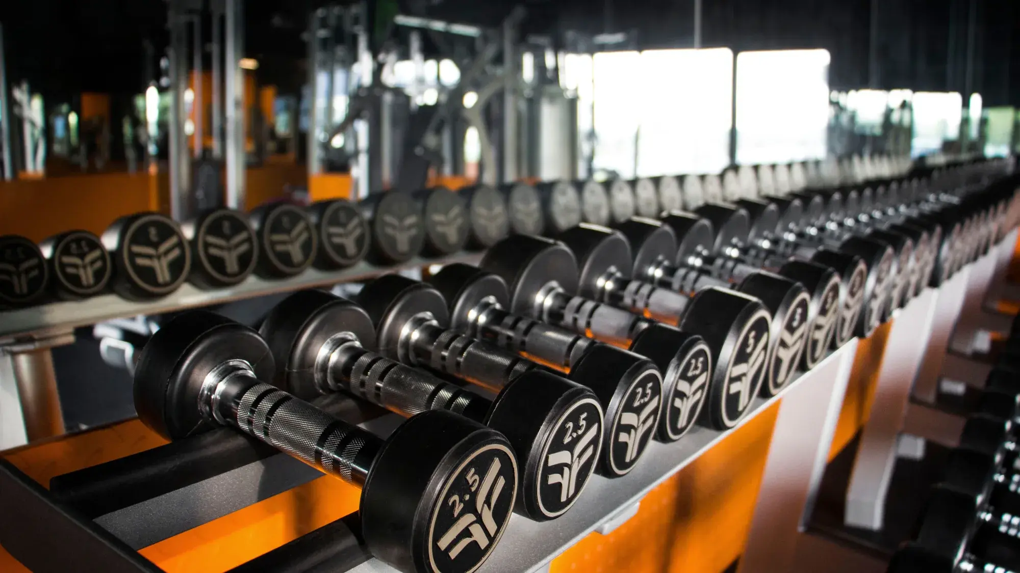 Siłownia Teho Sport — maszyny Hammer Strength